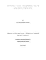 Identification of Anaplasma marginale proteins up-regulated during infection of the tick vector