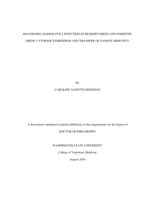 Mannheimia haemolytica infection in bighorn sheep and domestic sheep: Cytokine expression and transfer of passive immunity