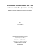 Development of the bovine Ileal cannulation model to study Johne's disease and the role of Mycobacterium avium subsp. paratuberculosis in the pathogenesis of Crohn's disease