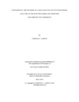 Fundamental mechanisms of Campylobacter jejuni pathogenesis: Analysis of the host inflammatory response and fibronectin adherence