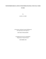 Testosterone regulation of the spermatogonial stem cell niche in mice