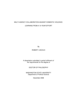 Multi-agency collaboration against domestic violence: Learning from a 10-year effort