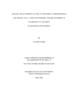 Spatial development of the cytoplasmic compartments for single cell C4 photosynthesis, and mechanisms of tolerance to salinity in Bienertia sinuspersici