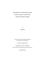 Signal detection on two-dimensional intersymbol interference channels: correlated sources and reduced complexity algorithms