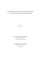 Investigation into the functions of the pollen specific genes PiVAMP721 and PiSCP1 in pollen tube growth