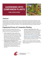Gardening with companion plants