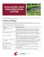Evaluating your pear irrigation system