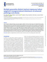 Multiple generation distinct toxicant exposures induce epigenetic transgenerational inheritance of&nbsp;enhanced pathology and&nbsp;obesity