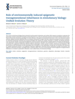 Role of environmentally induced epigenetic transgenerational inheritance in evolutionary biology: Unified Evolution Theory