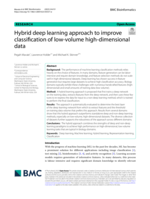 Hybrid deep learning approach to improve classification of low-volume high-dimensional data