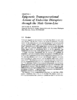 Epigenetic transgenerational actions of endocrine dispuptors through the male germ-line