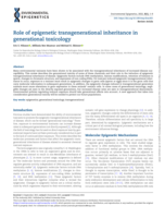 Role of epigenetic transgenerational inheritance in generational toxicology