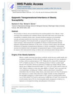 Epigenetic Transgenerational Inheritance of Obesity Susceptibility