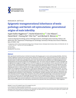 Epigenetic transgenerational inheritance of testis pathology and Sertoli cell epimutations: generational origins of male infertility