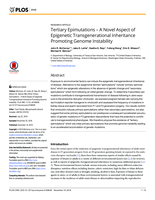 Tertiary Epimutations - A Novel Aspect of Epigenetic Transgenerational Inheritance Promoting Genome Instability