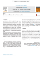 Environment, epigenetics and reproduction