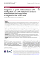 Integration of sperm ncRNA-directed DNA methylation and DNA methylation-directed histone retention in epigenetic transgenerational inheritance