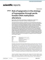 Role of epigenetics in the etiology of hypospadias through penile foreskin DNA methylation alterations