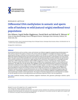 Differential DNA methylation in somatic and sperm cells of hatchery vs wild (natural-origin) steelhead trout populations
