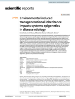Environmental induced transgenerational inheritance impacts systems epigenetics in disease etiology
