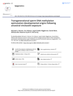 Transgenerational sperm DNA methylation epimutation developmental origins following ancestral vinclozolin exposure