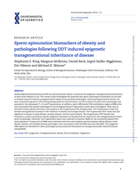 Sperm epimutation biomarkers of obesity and pathologies following DDT induced epigenetic transgenerational inheritance of disease