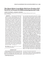 The basic helix-loop-helix E2A gene product E47, not E12, is present in differentiating Sertoli cells