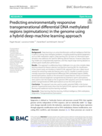 Predicting environmentally responsive transgenerational differential DNA methylated regions (epimutations) in the genome using a hybrid deep-machine learning approach