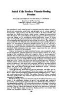 Sertoli Cells Produce Vitamin-Binding Proteins