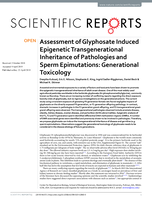 Assessment of Glyphosate Induced Epigenetic Transgenerational Inheritance of Pathologies and Sperm Epimutations: Generational Toxicology