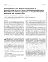 Developmental and Hormonal Regulation of Transforming Growth Factor-α and Epidermal Growth Factor Receptor Gene Expression in Isolated Prostatic Epithelial and Stromal Cells