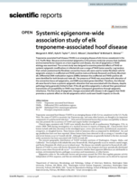Systemic epigenome-wide association study of elk treponeme-associated hoof disease