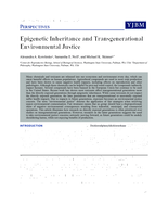 Epigenetic Inheritance and Transgenerational Environmental Justice