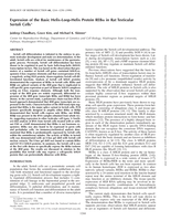 Expression of the Basic Helix-Loop-Helix Protein REBα in Rat Testicular Sertoli Cells