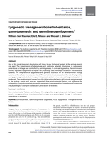 Epigenetic transgenerational inheritance, gametogenesis and germline development