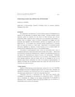 Peritubular myoid cell-Sertoli cell interactions 