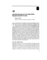 Cell-cell interactions in the testis which regulate gonadal function