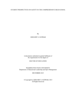 Student Perspectives on Safety in the Comprehensive High School