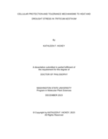 Cellular Protection and Tolerance Mechanisms to Heat and Drought Stress in Triticum Aestivum