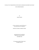 The Role of the Transcription Factor RUNX3 in Germline Development and Steady-State Spermatogenesis