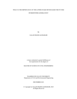 What Is the Importance of the Lower Snake River Dams for Future Hydropower Generation?