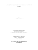 Assessment of P-Glycoprotein Expression in Canine Soft Tissue Sarcomas