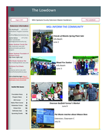 Lowdown, August 2023