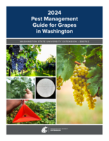 2024 pest management guide for grapes in Washington