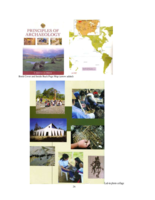 Responsibilities, Archaeology Today: Case Study from Washington State