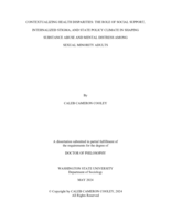 Contextualizing Health Disparities: The Role of Social Support, Internalized Stigma, and State Policy Climate in Shaping Substance Abuse and Mental Distress Among Sexual Minority Adults
