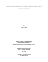 Drosophila melanogaster limostatin and its human ortholog promote West Nile virus infection
