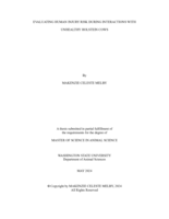 Evaluating Human Injury Risk During Interactions with Unhealthy Holstein Cows