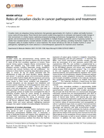 Roles of circadian clocks in cancer pathogenesis and treatment
