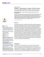 PSMD11 modulates circadian clock function through PER and CRY nuclear translocation